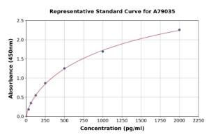 Representative standard curve for Human HMT ELISA kit (A79035)