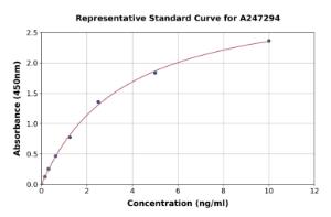 Representative standard curve for Human CD97 ELISA kit (A247294)