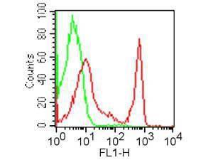 CD4fluorescence antibody 500 µg