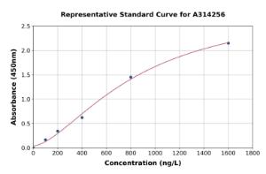 Representative standard curve for human Prostaglandin E Synthase/MPGES-1 ELISA kit (A314256)