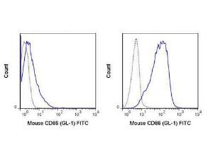 CD86fluorescenceescein antibody 500 µg