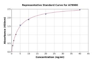 Representative standard curve for Rat ATF2 ELISA kit (A79900)