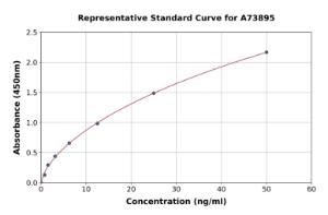 Representative standard curve for Guinea Pig IgG2a ELISA kit