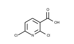 2,6-Dichloronicotinic acid ≥97%