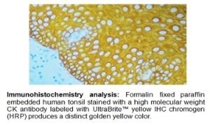 UltraBrite™ Yellow IHC Chromogen (HRP), BioVision
