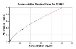 Representative standard curve for Human Aldolase C ELISA kit (A76122)