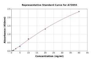 Representative standard curve for Human Smad3 ELISA kit