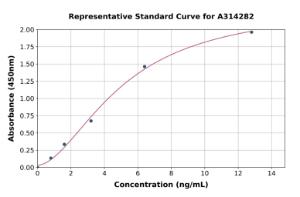 Representative standard curve for human ISLR ELISA kit (A314282)