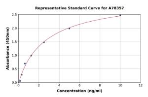 Representative standard curve for Human Kallikrein 7/KLK7 ELISA kit (A78357)