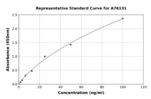 Representative standard curve for Human Anti-Neuronal Nuclear Antibody 1 ELISA kit (A76131)