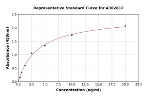 Representative standard curve for Human Polyubiquitin C ELISA kit (A302812)