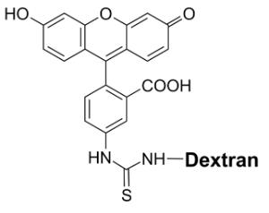 Fitc-dextran conj µga 21704 25 mg