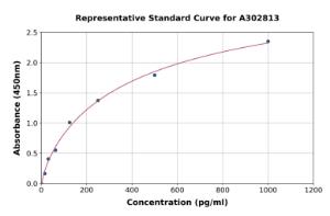 Representative standard curve for Human UBE2Q2 ELISA kit (A302813)