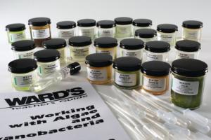 Ward's® College Algae Set