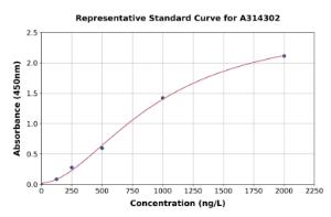 Representative standard curve for human p60 CAF1/MPP7 ELISA kit (A314302)