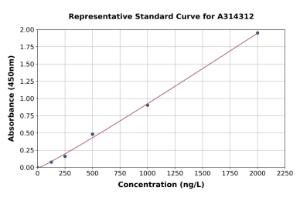 Representative standard curve for human ARMET/ARP ELISA kit (A314312)