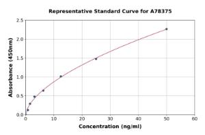Representative standard curve for Human LDHD/DLD ELISA kit (A78375)