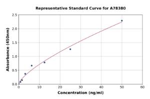 Representative standard curve for Human LCAT ELISA kit (A78380)