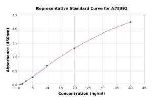 Representative standard curve for Human LOX ELISA kit (A78392)