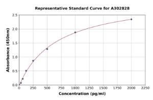 Representative standard curve for Human VAPB ELISA kit (A302828)