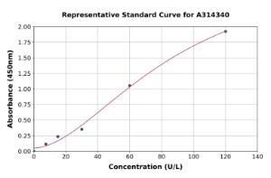 Representative standard curve for human COX2 ELISA kit (A314340)