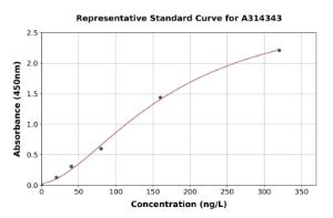Representative standard curve for human Endothelin 2/ET-2 ELISA kit (A314343)