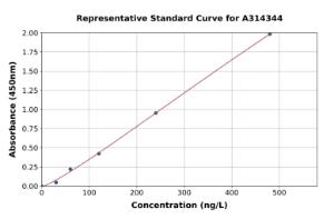 Representative standard curve for mouse Wnt4 ELISA kit (A314344)