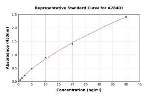 Representative standard curve for Mouse LRP6 ELISA kit (A78403)