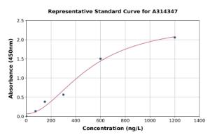 Representative standard curve for human MUM1 ELISA kit (A314347)