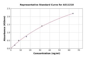 Representative standard curve for Human Cyclophilin B ELISA kit (A311210)
