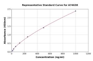 Representative standard curve for Human ADAMTS9 ELISA kit (A74638)
