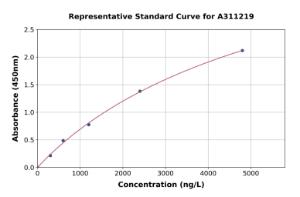 Representative standard curve for Human Brk / PTK6 ELISA kit (A311219)