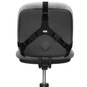 Fellowes® Professional Series™ Back Support, Essendant