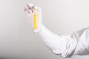 BioClean™ N-Plus™ sterile nitrile cleanroom gloves, Ansell