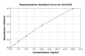 Representative standard curve for Human CHST5 ELISA kit (A312345)