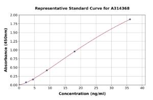 Representative standard curve for human ORP8 ELISA kit (A314368)
