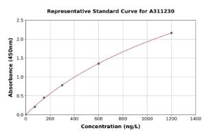Representative standard curve for Human CPXM2 ELISA kit (A311230)