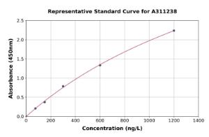 Representative standard curve for Human SHP1 ELISA kit (A311238)