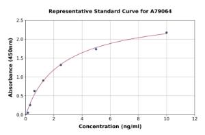 Representative standard curve for Rat KAT2/AadAT ELISA kit (A79064)
