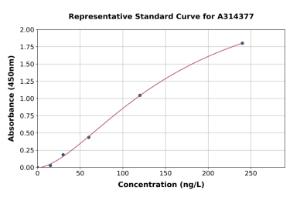 Representative standard curve for human IL37 ELISA kit (A314377)