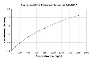 Representative standard curve for Mouse Hsf2 ELISA kit (A311247)