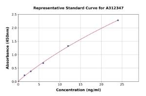 Representative standard curve for Human ENO1 ELISA kit (A312347)