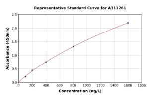 Representative standard curve for Human Toca-1 ELISA kit (A311261)