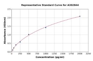Representative standard curve for Human 5HT2A Receptor ELISA kit (A302844)