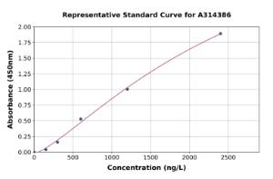 Representative standard curve for human OGT/O-Linked N-Acetylglucosamine Transferase ELISA kit (A314386)