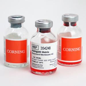 Corning® Matrigel® Basement Membrane Matrix, Corning