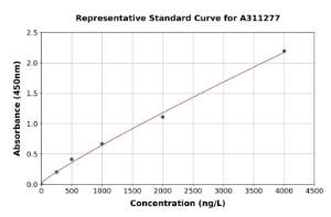 Representative standard curve for Human ANO6 ELISA kit (A311277)