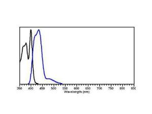 Rat IgG (H/L) antibody405 conjugation