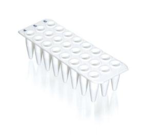 PCR plate 24 well white PK 40 (781412)