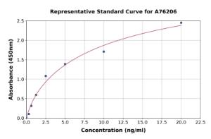 Representative standard curve for Human BVR ELISA kit (A76206)